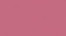 Настенная плитка Городские цветы ( 7081T) розовый 20x50 от Kerama Marazzi (Россия)